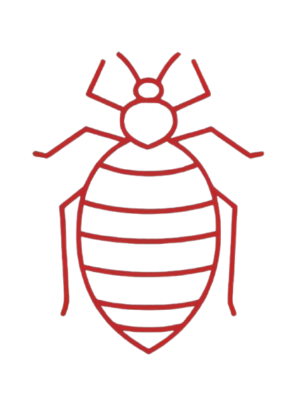BedBugs Control