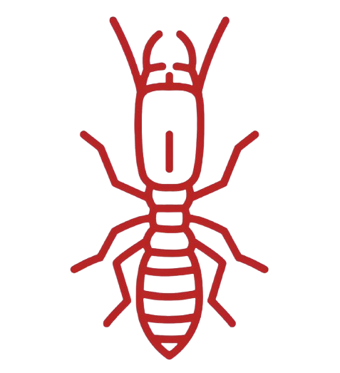 Termite Treatments